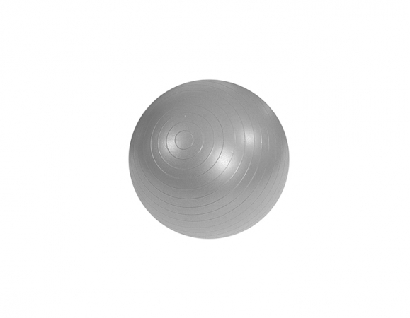 Piłka gimnastyczna (rehabilitacyjna) Mambo ABS Gym Ball MSD srebrna 95 cm  z pompką - Image no.: 1