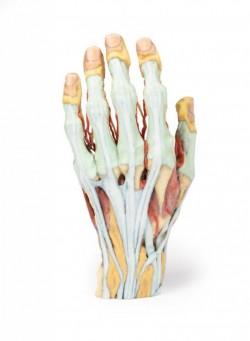 Wydruk anatomiczny  - Model dłoni 3D - Image no.: 10