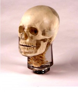 Fantom głowy z kręgami szyjnymi do radiografii (RTG) i CBCT, transparentny - Image no.: 2