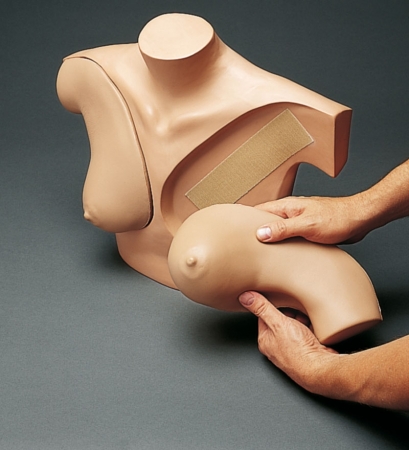 Symulator do nauki badania piersi - Image no.: 2