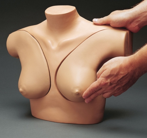 Symulator do nauki badania piersi - Image no.: 1