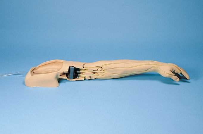 Model ramienia do nauki iniekcji dożylnych - Image no.: 10