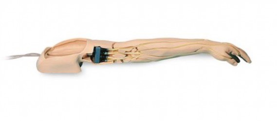 Model ramienia do nauki iniekcji dożylnych - Image no.: 4