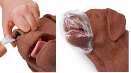 Fantom psa do nauki resuscytacji krążeniowo-oddechowej (RKO) - Image no.: 4