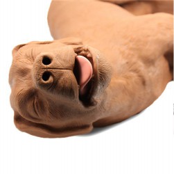 Fantom psa do nauki resuscytacji krążeniowo-oddechowej (RKO) - Image no.: 1