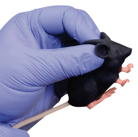Symulator myszy laboratoryjnej - Image no.: 2