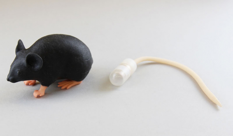 Symulator myszy laboratoryjnej - Image no.: 3