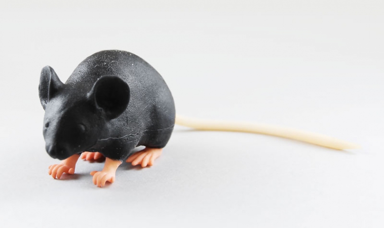 Symulator myszy laboratoryjnej - Image no.: 1