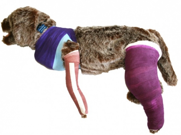 Manekin psa do nauki bandażowania i zakładania opatrunków - Image no.: 1