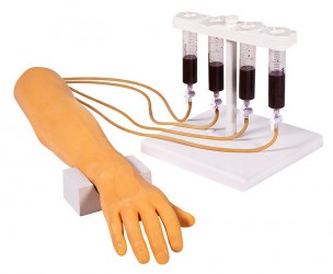 Model ramienia do nauki wkłuć dożylnych z dłonią - Image no.: 1