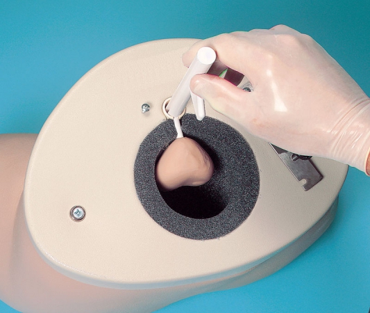 Symulator do badania prostaty - Image no.: 2