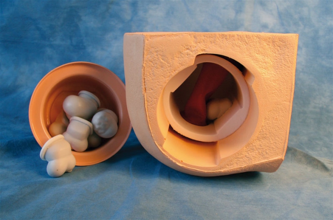 Symulator do badania prostaty i per rectum - Image no.: 2