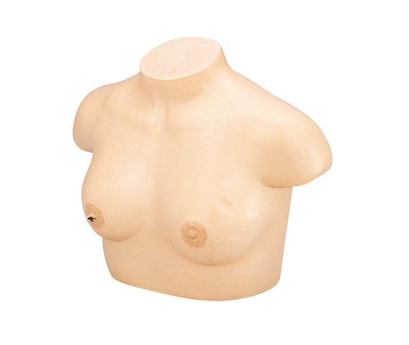 Model piersi do diagnostyki nowotworowej - Image no.: 1