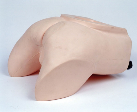 Symulator do badania prostaty - Image no.: 2