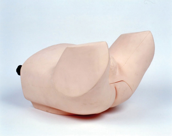 Symulator do badania prostaty - Image no.: 3
