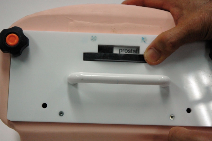 Symulator do badania prostaty - Image no.: 4