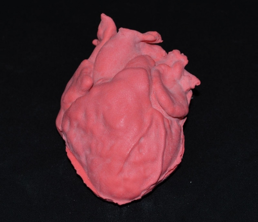 Pediatryczny model serca z ubytkiem przegrody międzykomorowej -  VSD, Kardiosymulator - Image no.: 3