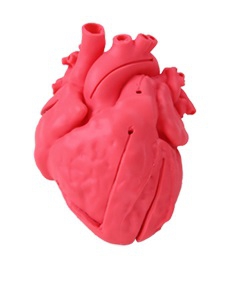 Pediatryczny model serca z ubytkiem przegrody międzykomorowej -  VSD, Kardiosymulator - Image no.: 1