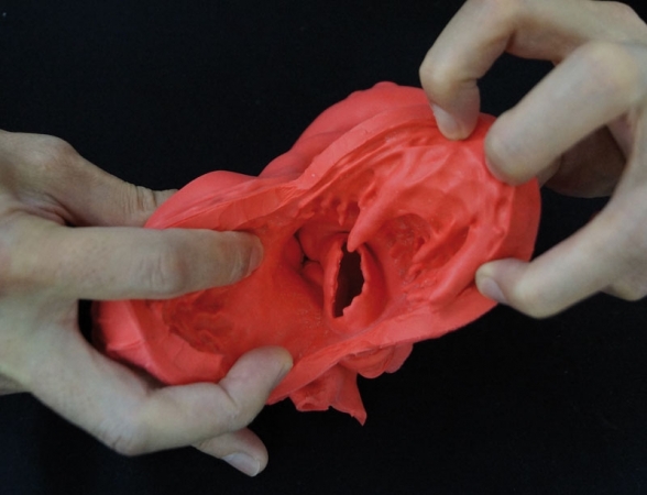 Elastyczny model serca, wersja dydaktyczna - Image no.: 2