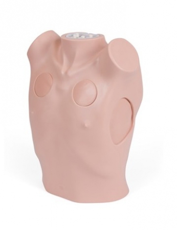 Symulator klatki piersiowej do nauki drenażu i odbarczenia igłowego - Image no.: 2