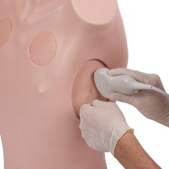 Symulator klatki piersiowej do nauki drenażu i odbarczenia igłowego - Image no.: 4
