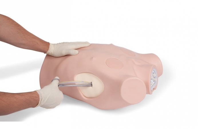 Symulator klatki piersiowej do nauki drenażu i odbarczenia igłowego - Image no.: 1