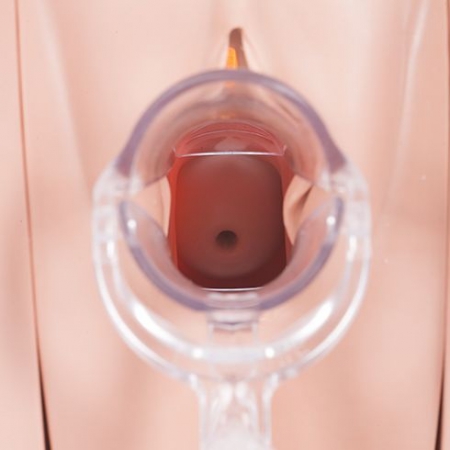 Zaawansowany symulator ginekologiczny - Image no.: 3