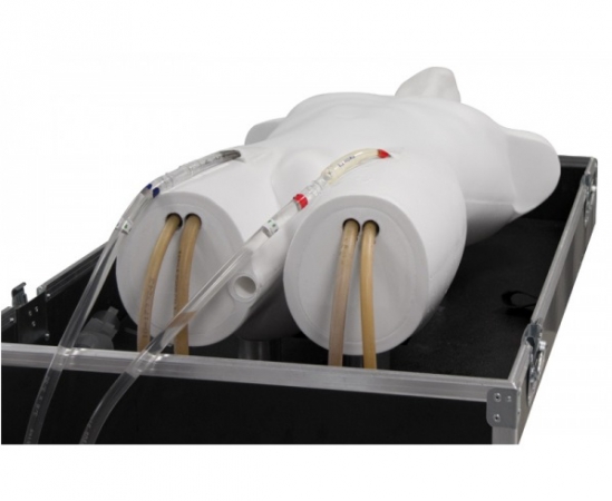 Symulator ECMO - do treningu pozaustrojowej oksygenacji (natleniania) - Image no.: 2