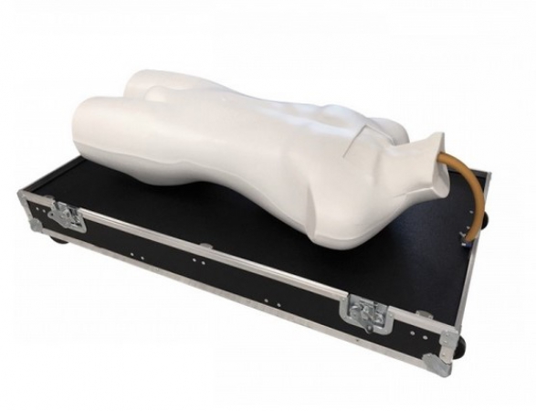 Symulator ECMO - do treningu pozaustrojowej oksygenacji (natleniania) - Image no.: 1
