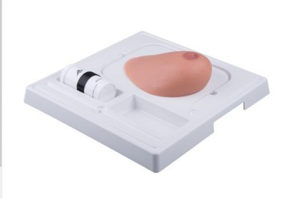 Model piersi z guzami do nauki badania pod kontrola USG z możliwością nakłuwania - Image no.: 1