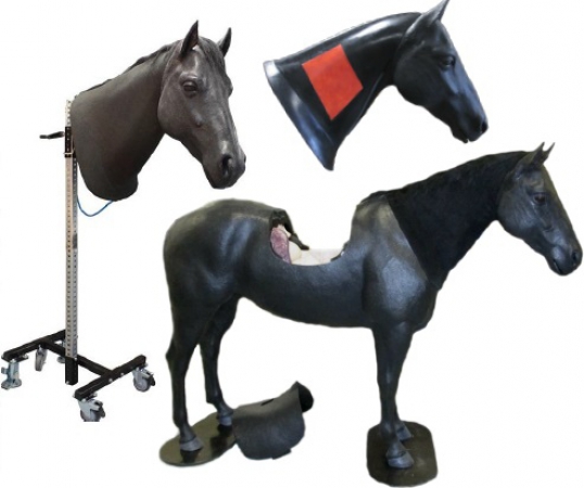 Zaawansowany fantom konia / symulator kolki z możliwością wykonywania wenopunkcji oraz iniekcji domięśniowych - Image no.: 4