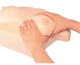 Model do pielęgnacji piersi i masażu - Image no.: 2