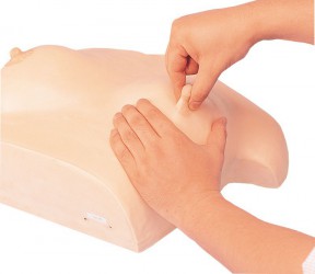 Model do pielęgnacji piersi i masażu - Image no.: 3