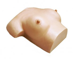 Model do pielęgnacji piersi i masażu - Image no.: 1