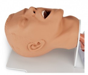 Fantom głowy dorosłego do intubacji - Image no.: 2