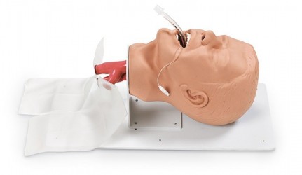 Fantom głowy dorosłego do intubacji - Image no.: 1