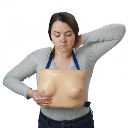 Model do badania piersi - Image no.: 1