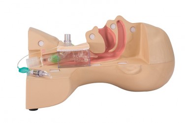 Symulator do nauki tracheostomii - Image no.: 1