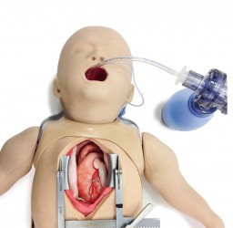 Pediatryczny symylator chirurgiczny z modułem sercowo-piersiowym - Image no.: 2