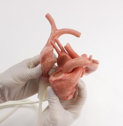 Pediatryczny symylator chirurgiczny z modułem sercowo-piersiowym - Image no.: 8
