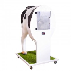 Krowa Emma - Zaawansowany symulator do inseminacji (unasienniania) krowy - Image no.: 3