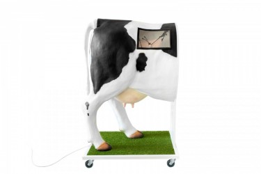 Krowa Emma - Zaawansowany symulator do inseminacji (unasienniania) krowy - Image no.: 5