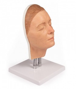 Symulator do iniekcji twarzy, wersja A - Image no.: 2