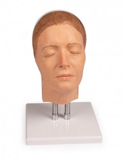 Symulator do iniekcji twarzy, wersja A - Image no.: 1