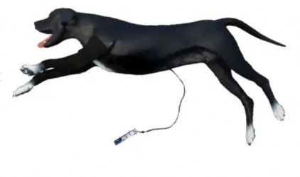 Fantom psa BLS - podstawowe zabiegi resusytacyjne - Image no.: 1