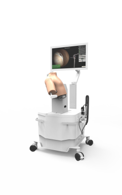 ArthroS™ - wysokiej wierności symulator do nauki artroskopii stawu ramiennego - Image no.: 1