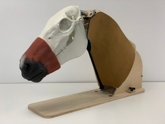 Model do nauki zgłębnikowania żołądka u koni - Image no.: 1