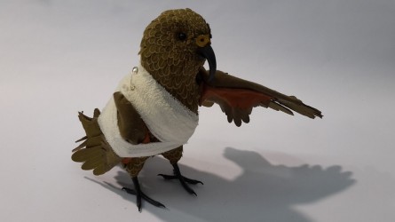 Model do nauki bandażowania ptaków - Image no.: 5