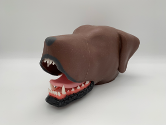 Dentystyczny model głowy psa - Image no.: 7