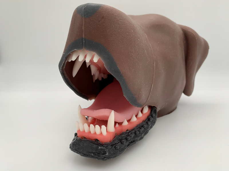 Dentystyczny model głowy psa - Image no.: 1